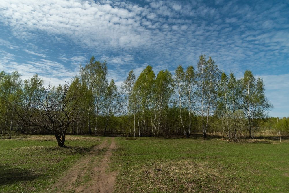 Photograph by Алексей