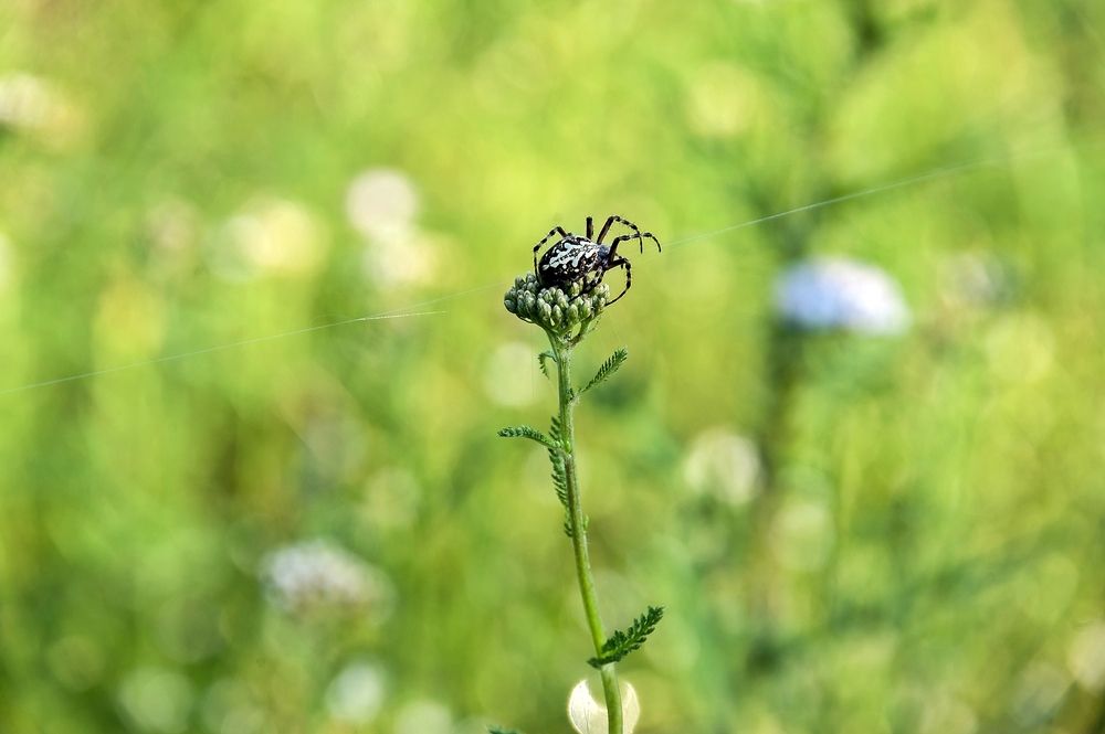Photograph by 