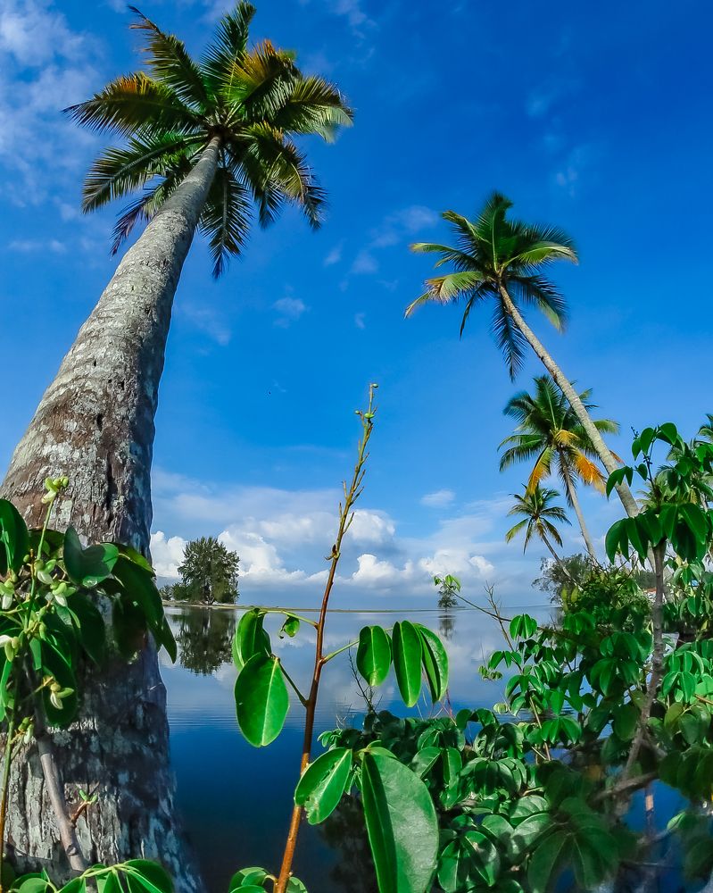 Photograph by Hario Suhendra