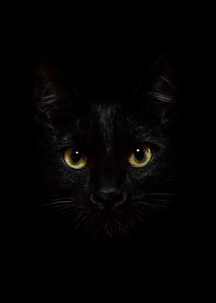 Photograph by Aldo Espinosa