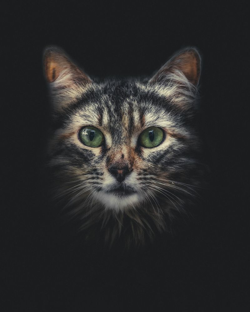 Photograph by Aldo Espinosa