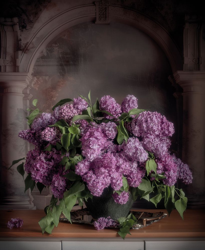 Фотография автора Виктория Шаманова