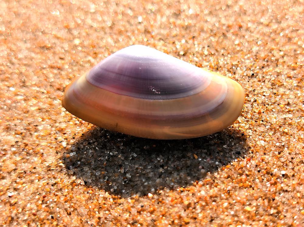 Фотография автора Можаев Сергей