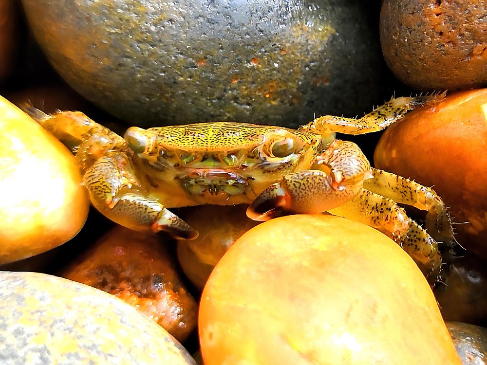 Фотография автора Можаев Сергей
