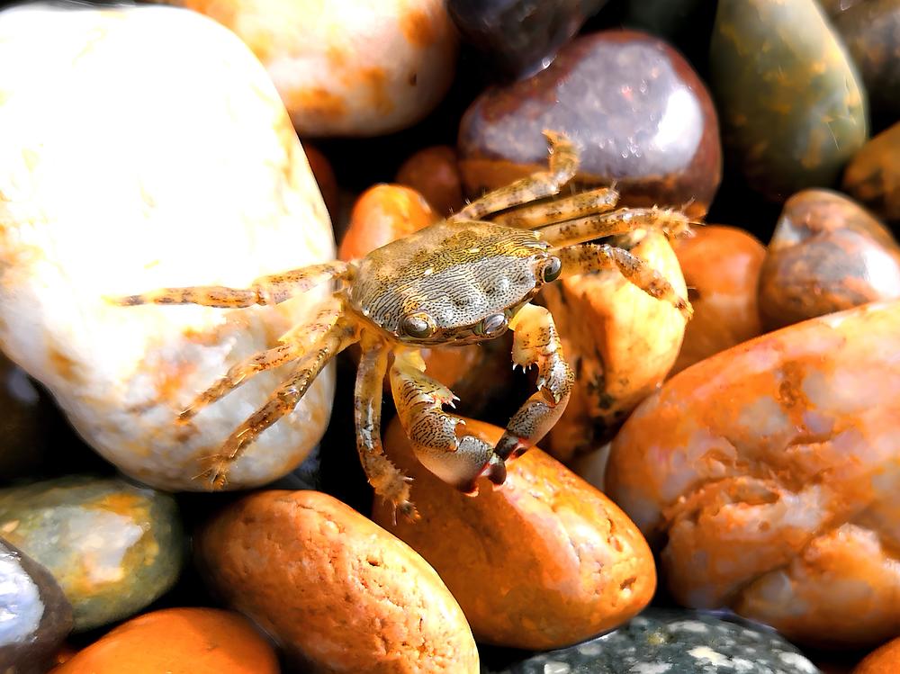 Фотография автора Можаев Сергей