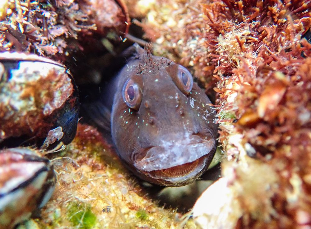 Photograph by MOHAMMED BOULHME