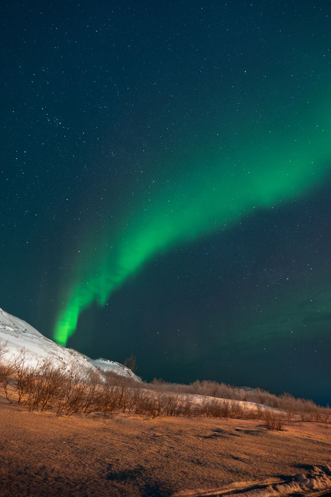 Photograph by Андрей Гусаров