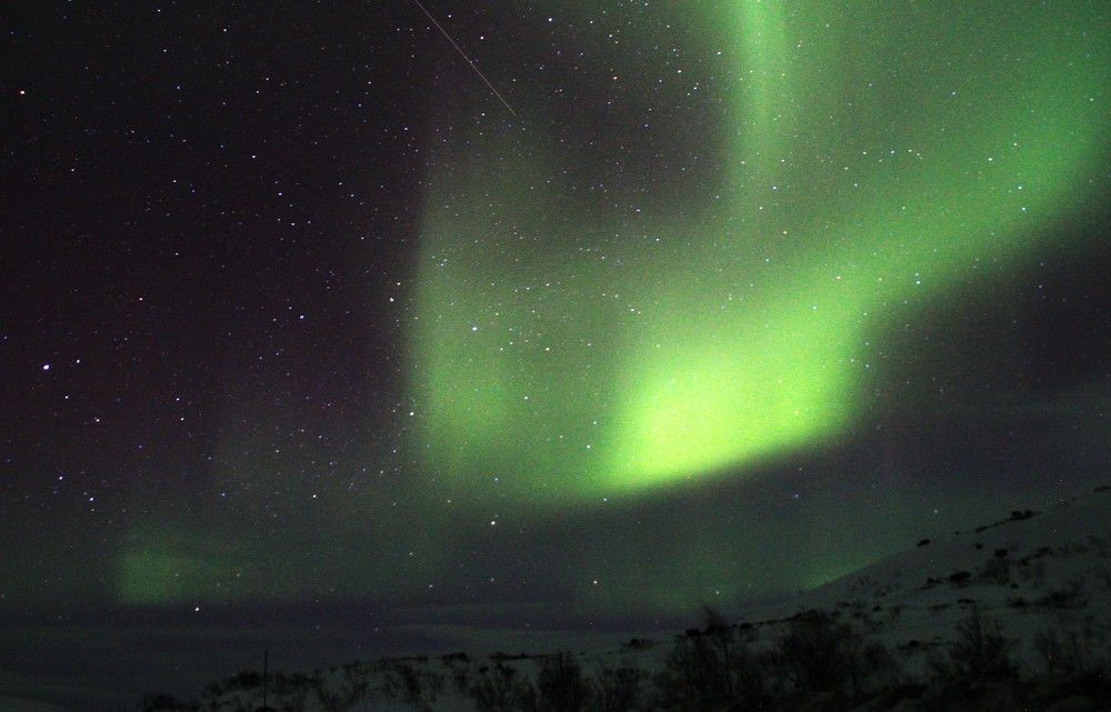 Фотография автора Светлана Терехова