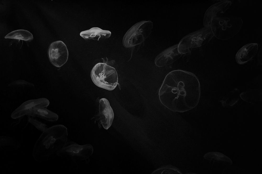 Photograph by Екатерина Карпова