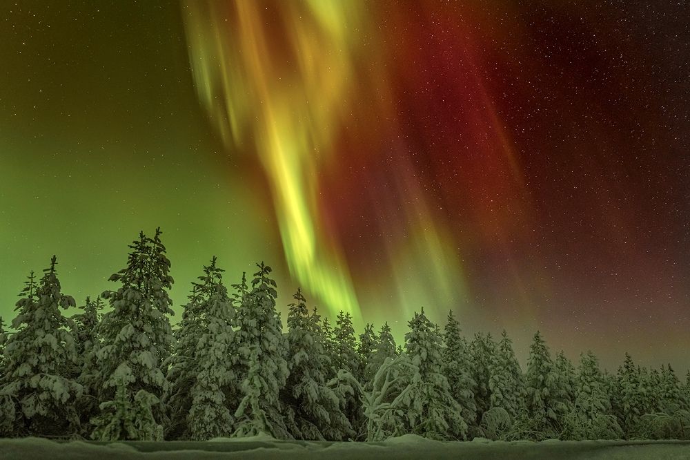 Photograph by Ермохина Наталья