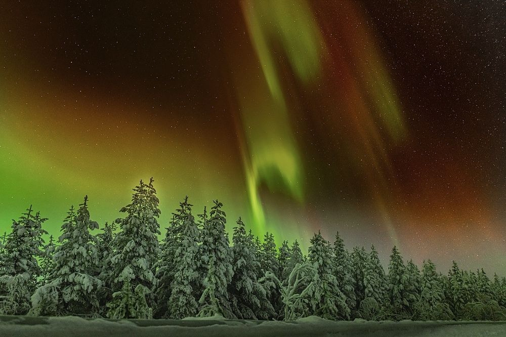 Photograph by Ермохина Наталья