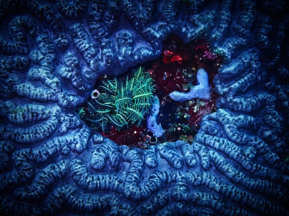 Photograph by Анна