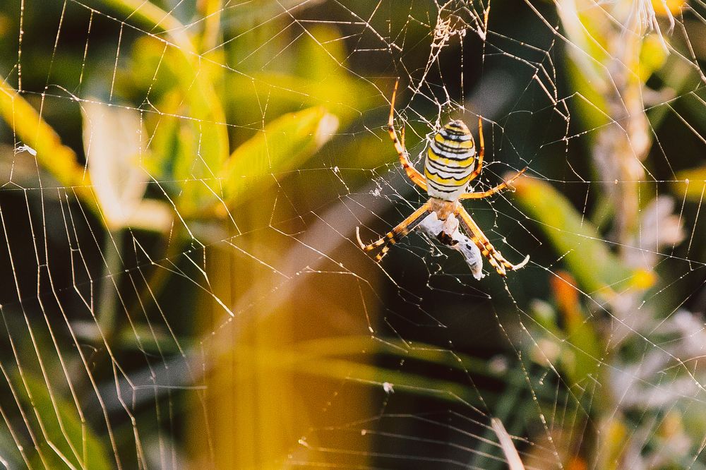 Photograph by Ирина Фатеева