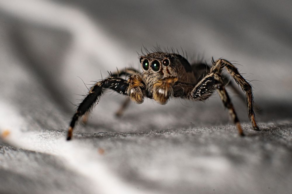 Photograph by Jean pierre