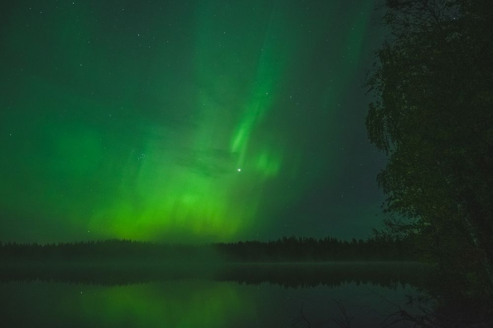 Photograph by Александр Устинов