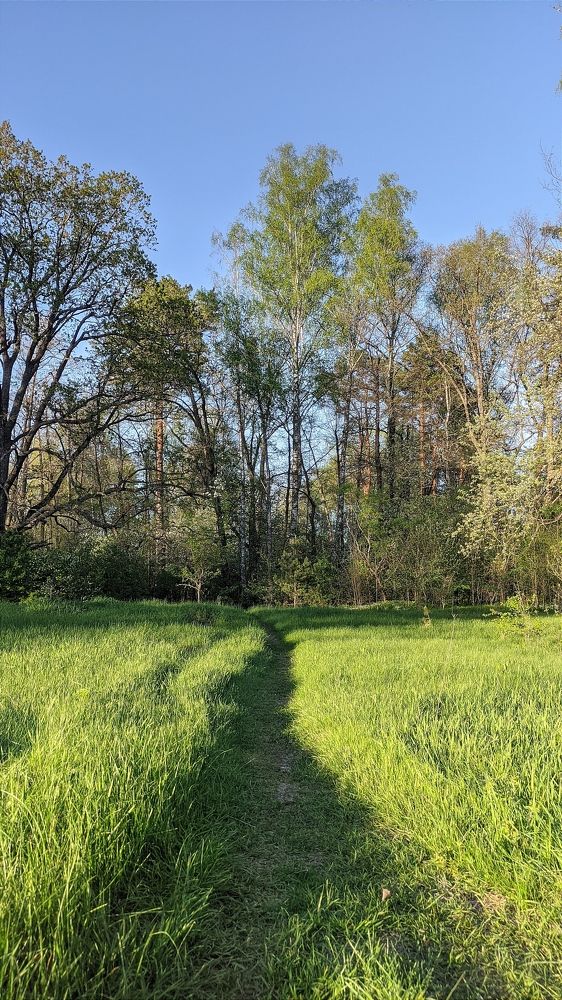 Фотография автора Васильева Ирина