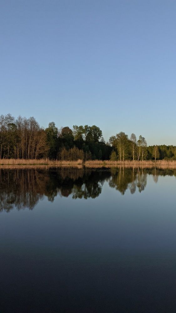 Фотография автора Васильева Ирина