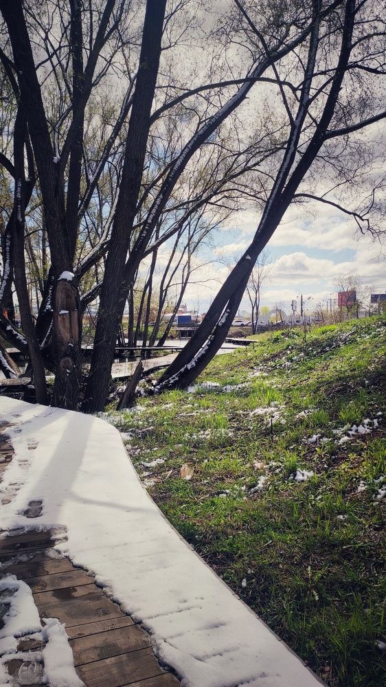 Photograph by Калюнова Наталья