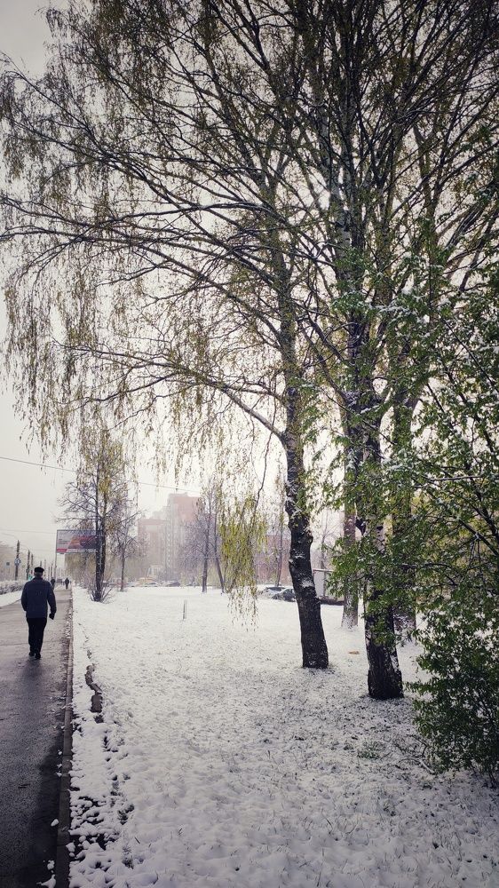 Photograph by Калюнова Наталья