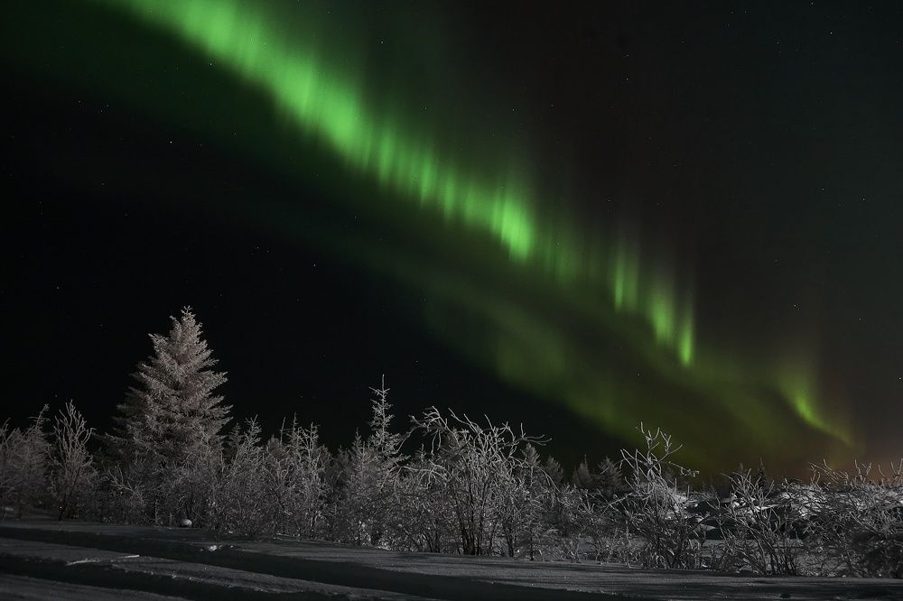 Photograph by Ирина Коннова