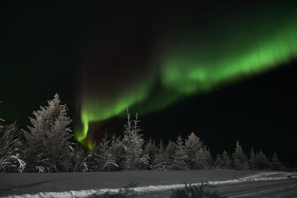 Photograph by Ирина Коннова