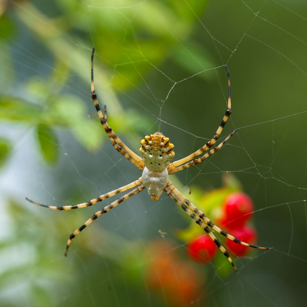 Фотография автора Владимир Пронин