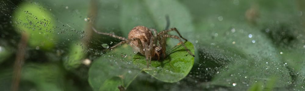 Фотография автора Владимир Пронин