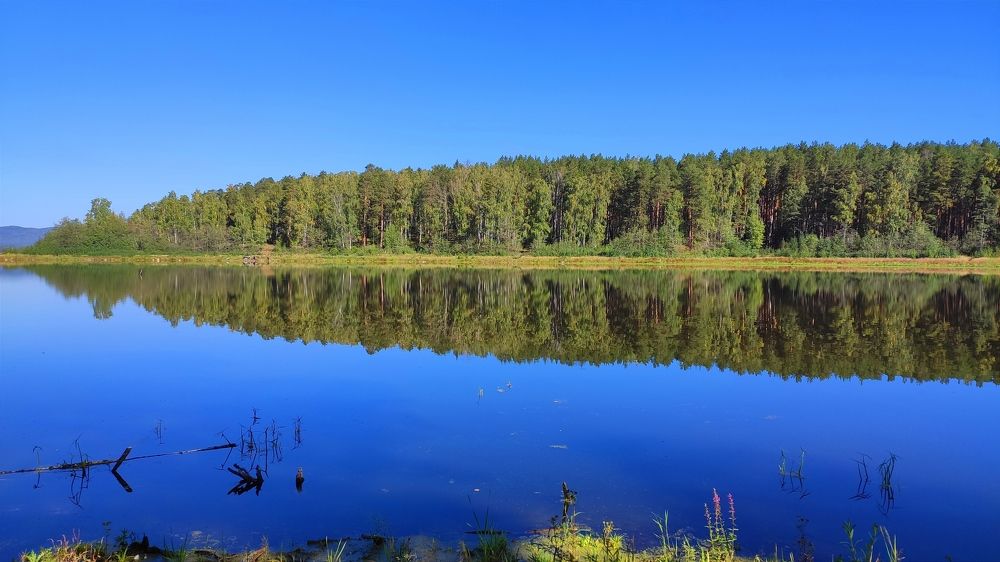 Photograph by Виталий Черепенькин