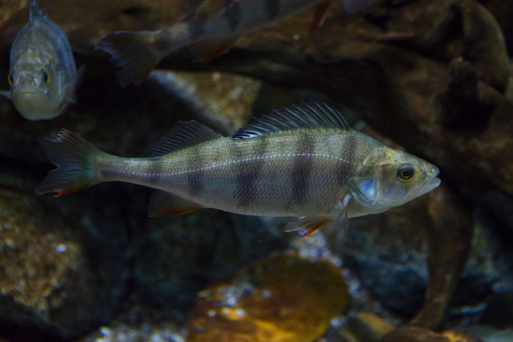 Photograph by Дмитрий Юдин