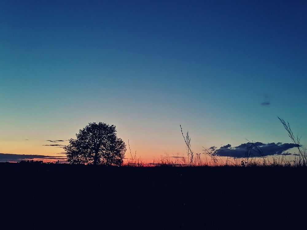 Photograph by Алексей Титков