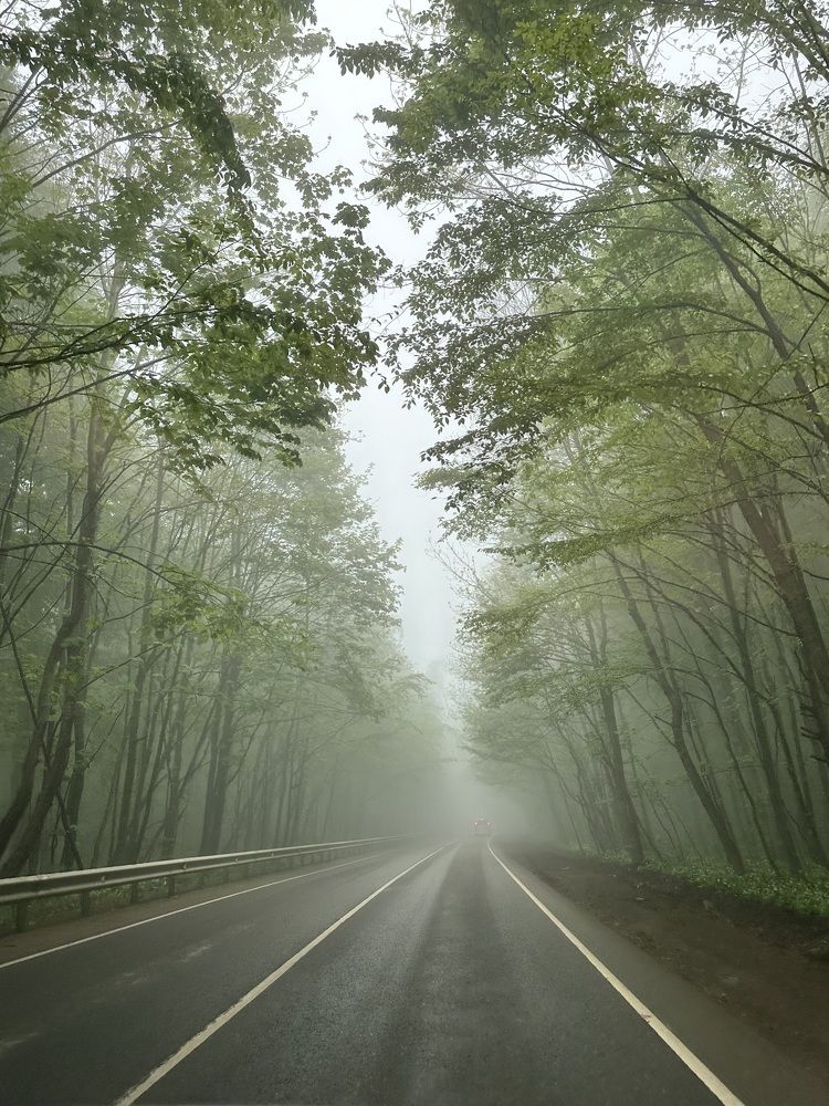 Photograph by Валентина Спиридонова