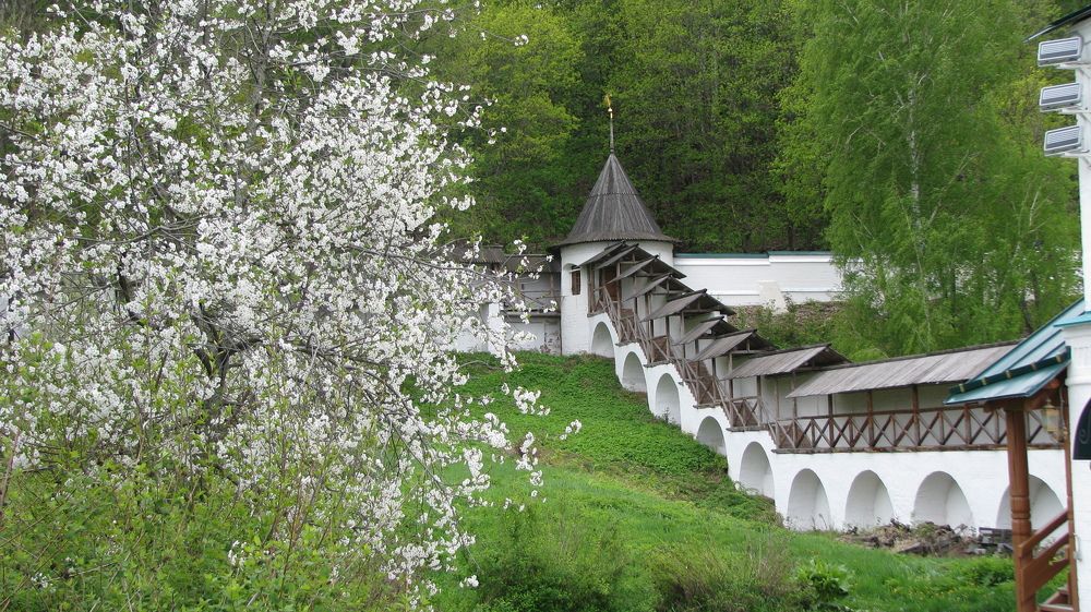 Photograph by Лада Кляузина