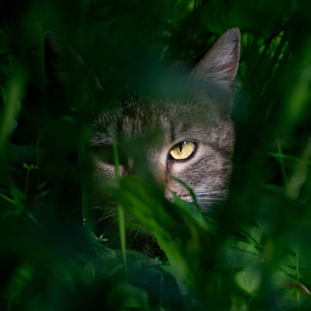 Photograph by Милан Ђорђевић