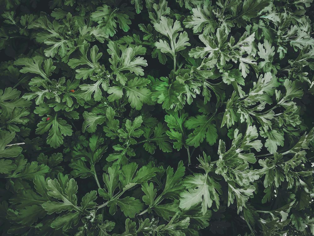 Photograph by Екатерина Горчилина