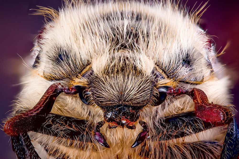 Photograph by Юрий Яковлевич