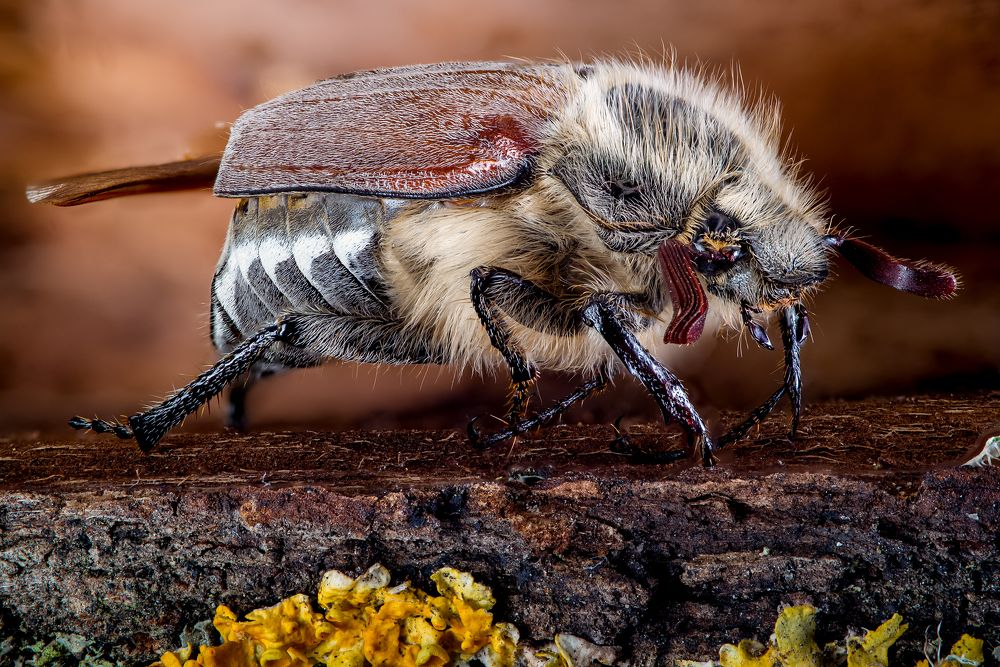 Photograph by Юрий Яковлевич