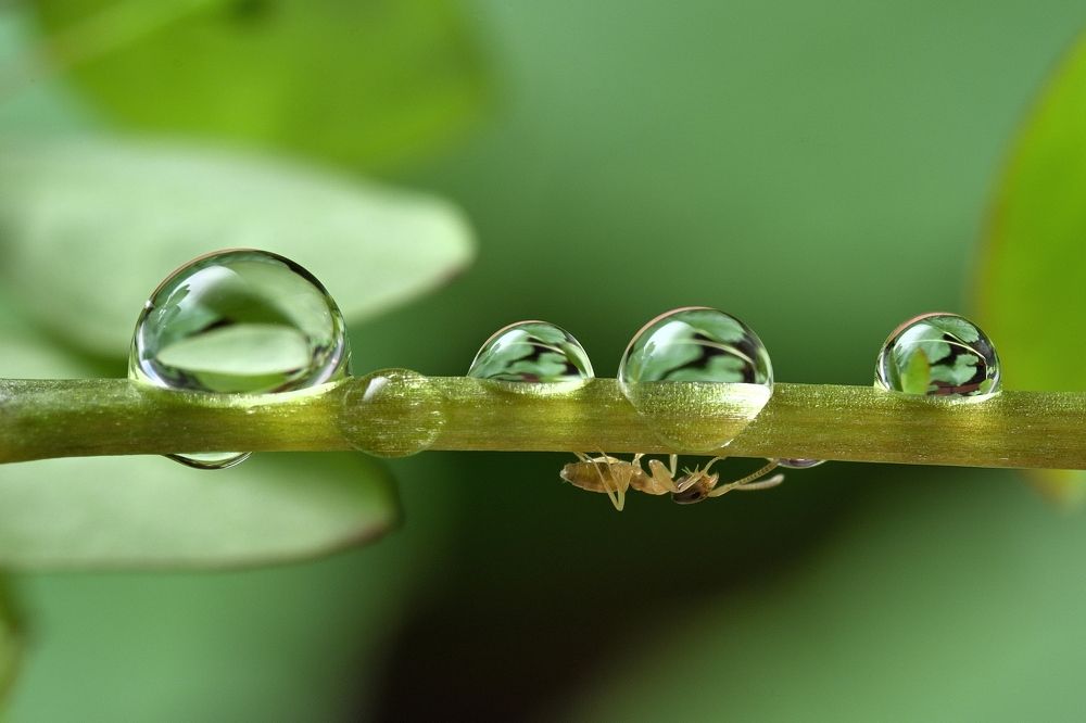 Photograph by Juchen Lin