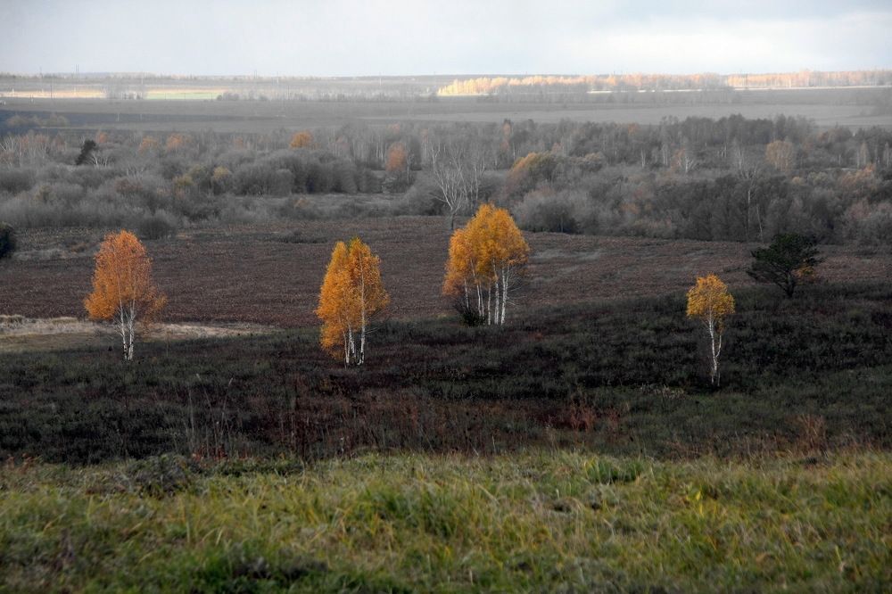 Photograph by Пётр Соколов