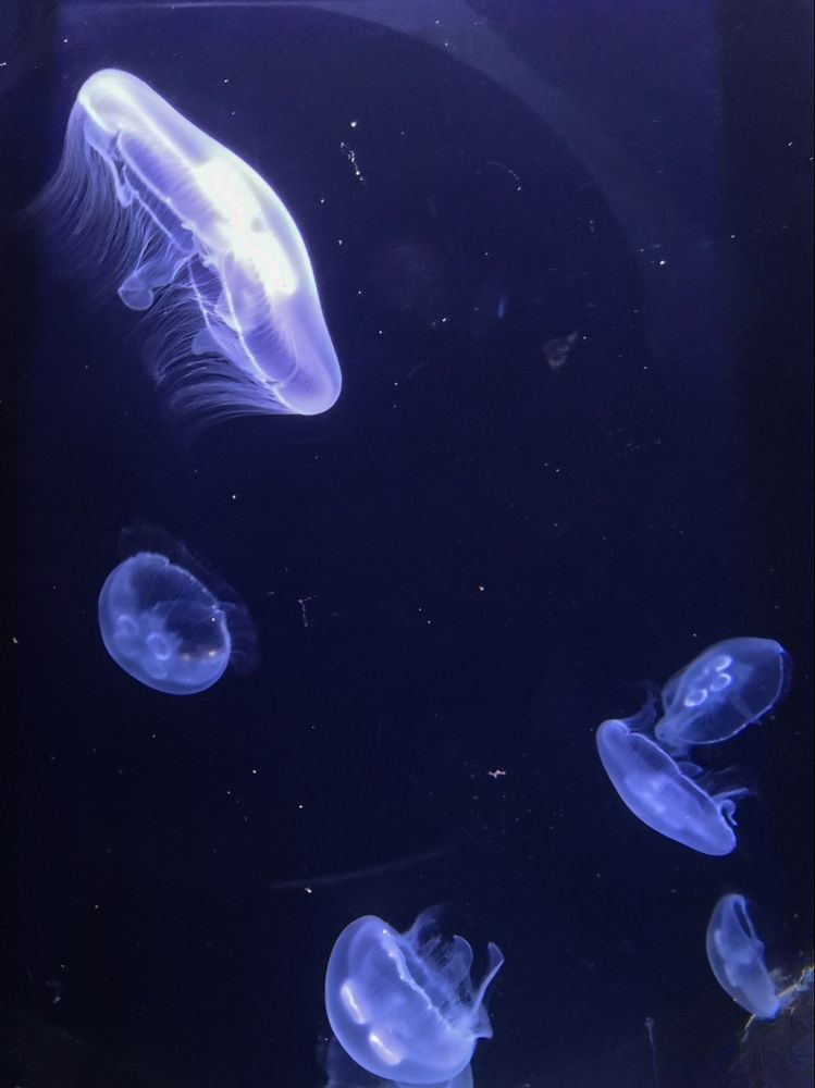 Фотография автора Вера