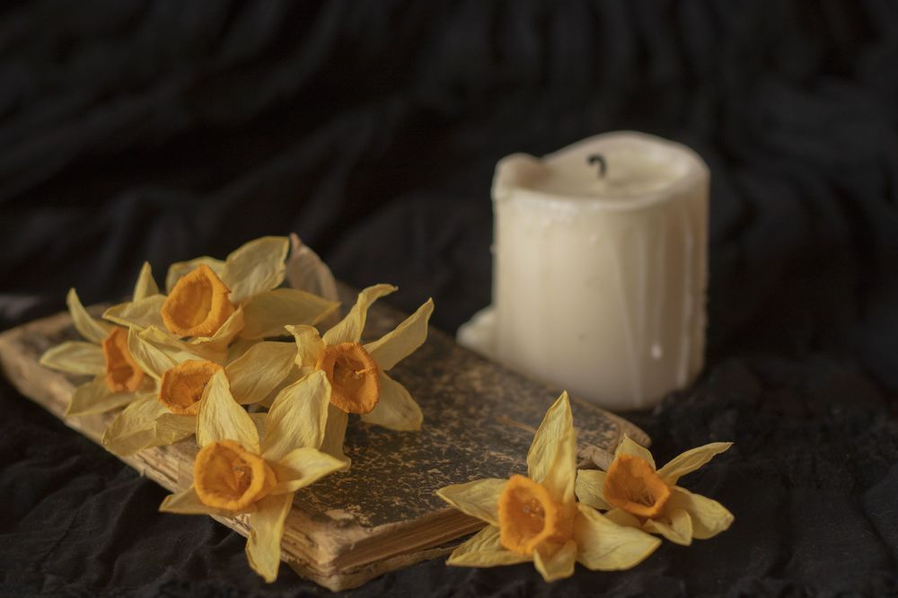 Photograph by Анастасия Трофимовская