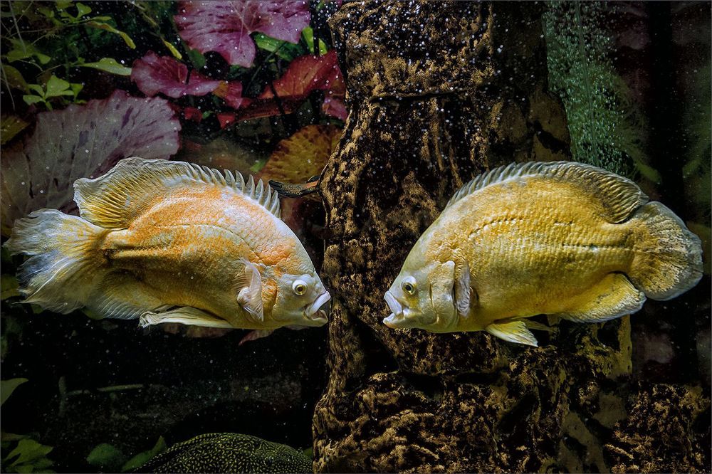 Photograph by Юрий Михайлович Головкин