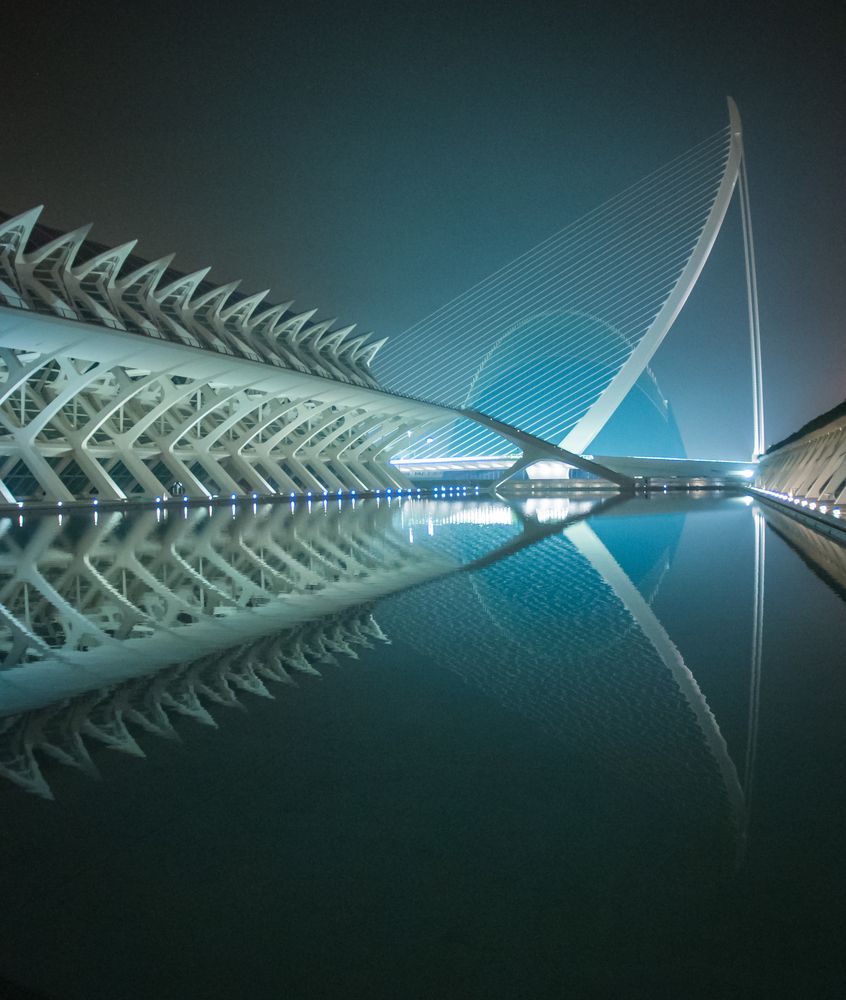 Photograph by Дария Максимова