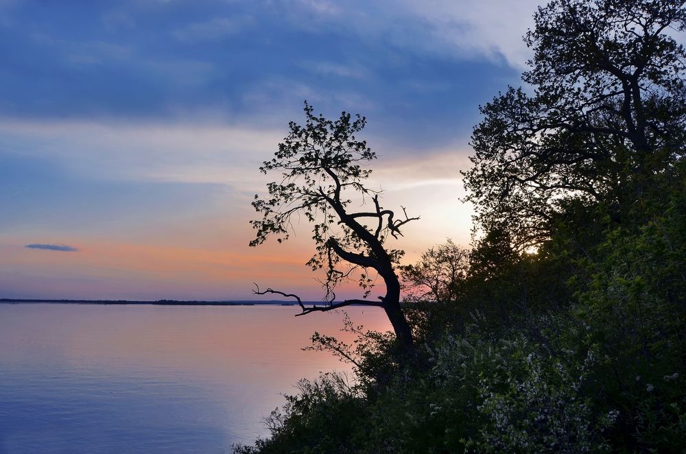 Photograph by Наталья Иванова