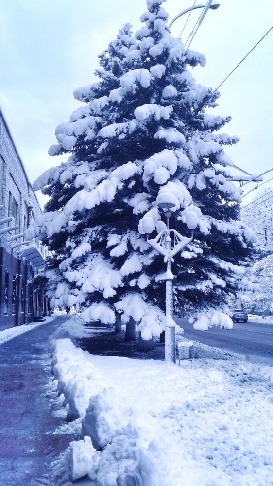 Photograph by Милана