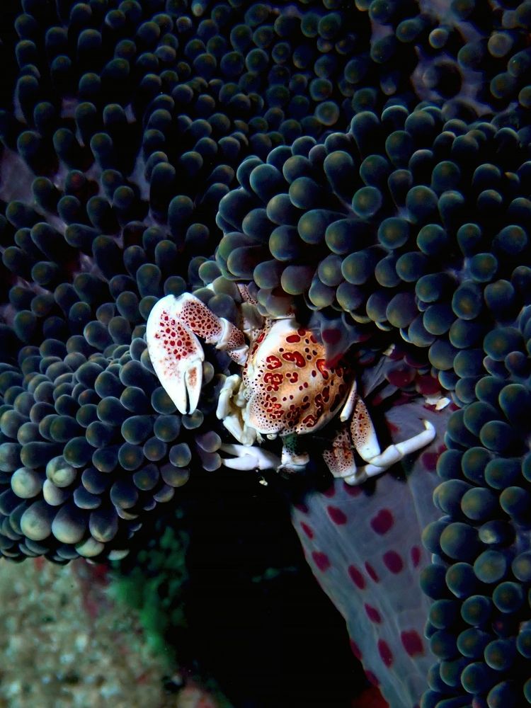 Photograph by Кирилл Леднев