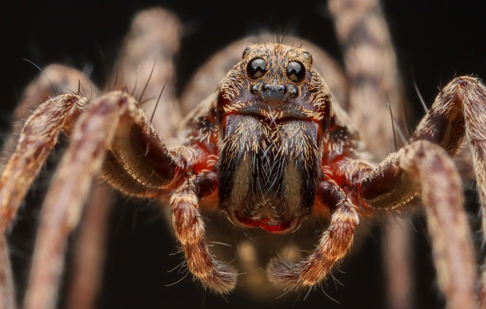 Photograph by Yakup Temel