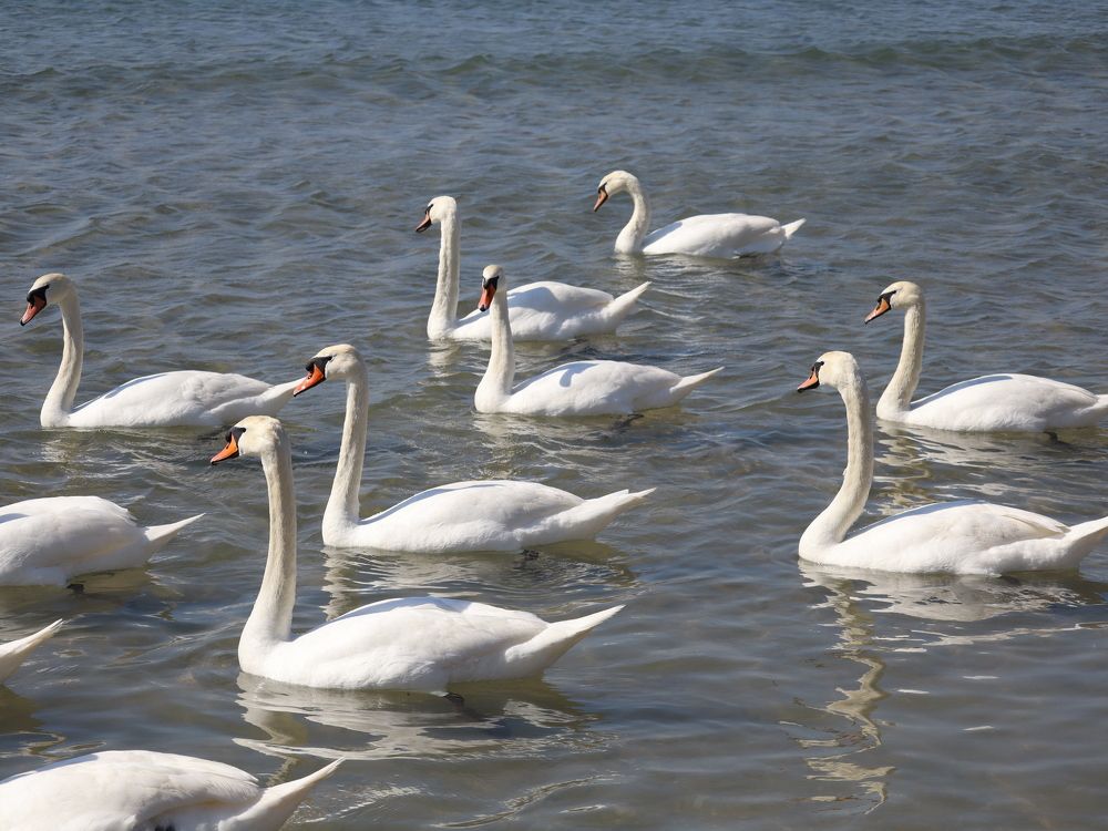 Photograph by Natalya Sedina