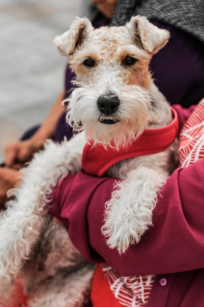 Фотография автора Ирина Якущенко