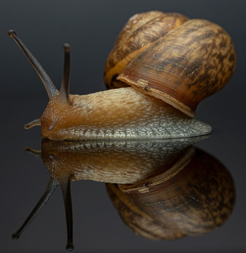 Photograph by Сергей