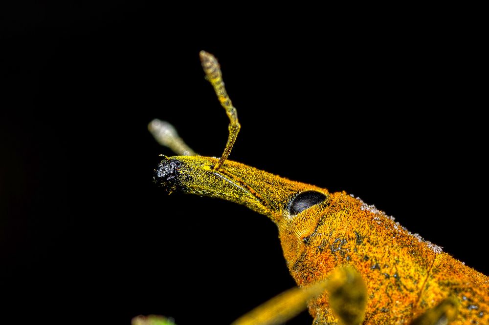 Фотография автора Vasileios Karapanagiotidis